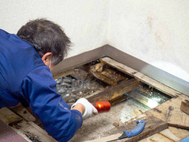 Best Water Damage Restoration  in Citrus, CA