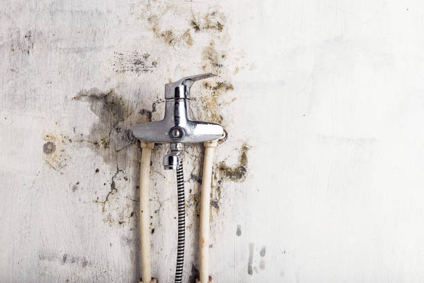 Water Damage Restoration in Citrus, CA