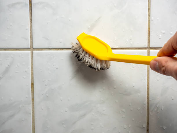 Best Mold Remediation  in Citrus, CA