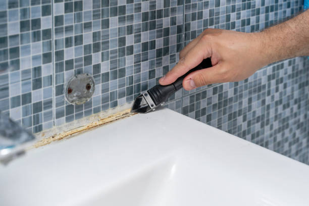 Professional Mold Removal in Citrus, CA