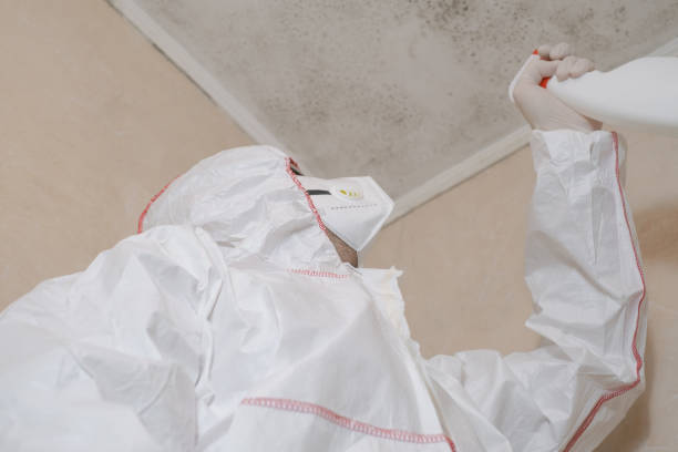 Best Mold Testing  in Citrus, CA